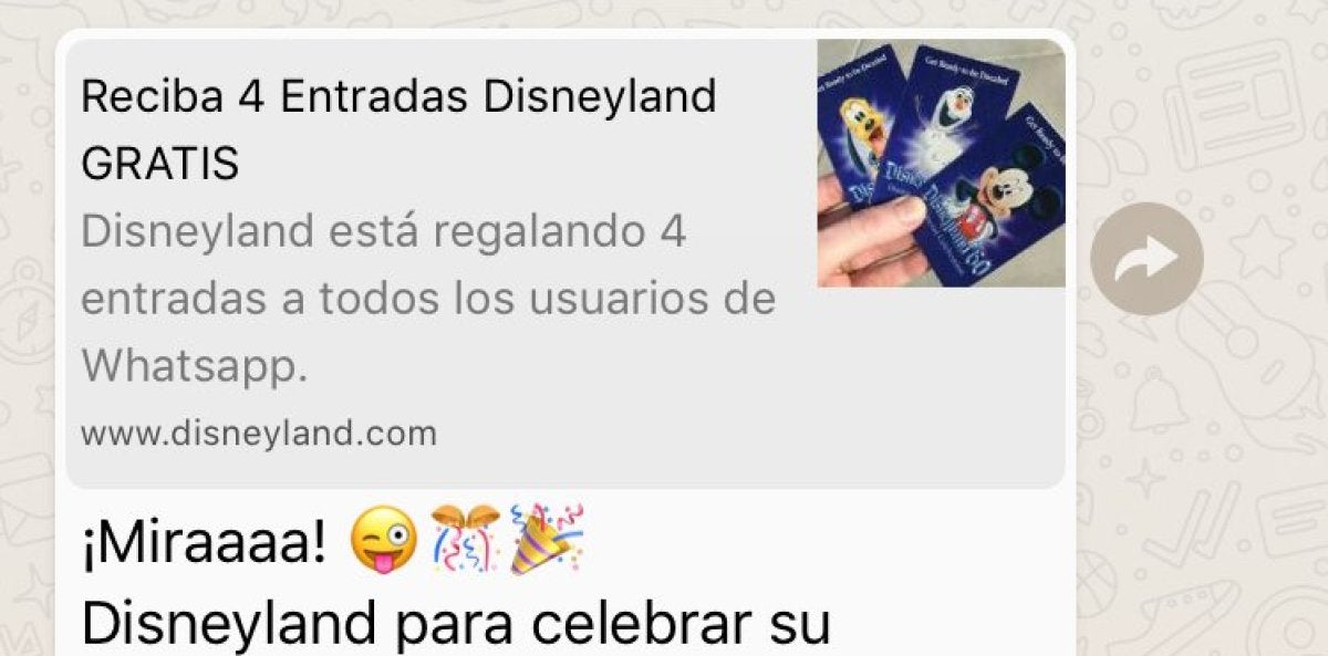 La policía advierte del timo de las entradas de Disneyland