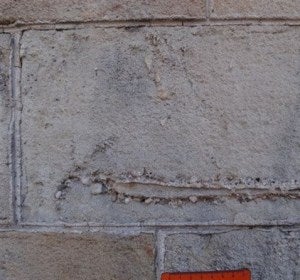 Ejemplo de un fósil en un edificio de Barcelona Ejemplo de un fósil en un edificio de Barcelona