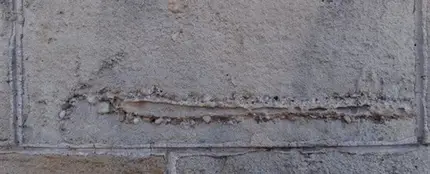 Ejemplo de un fósil en un edificio de Barcelona Ejemplo de un fósil en un edificio de Barcelona