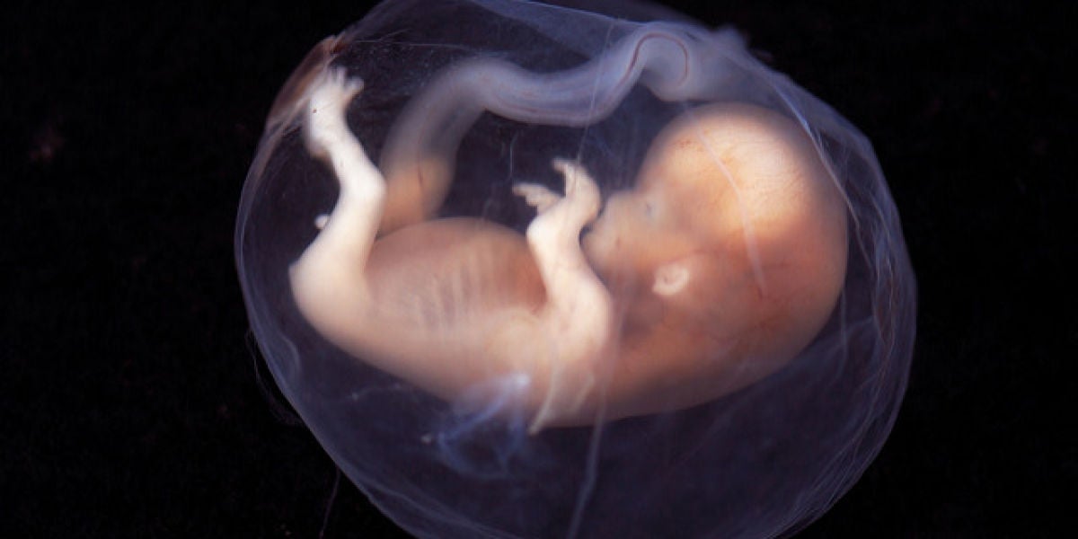 La tecnica de los tres padres geneticos es eficaz en problemas de infertilidad