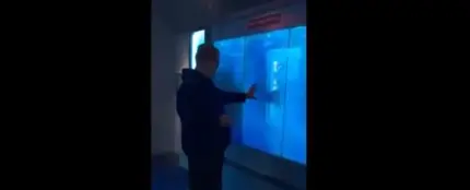 Un tiburón rompe "el cristal" del acuario para atacar a un visitante Un tiburón rompe "el cristal" del acuario para atacar a un visitante