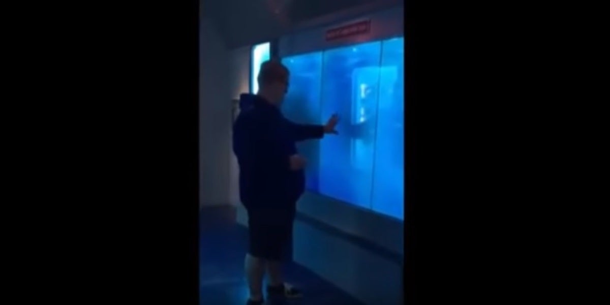 Un tiburón rompe "el cristal" del acuario para atacar a un visitante