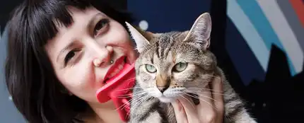 Licki, para lamer-cepillar a tu gato Licki, para lamer-cepillar a tu gato