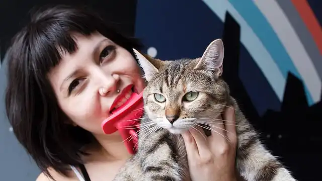 Licki, para lamer-cepillar a tu gato