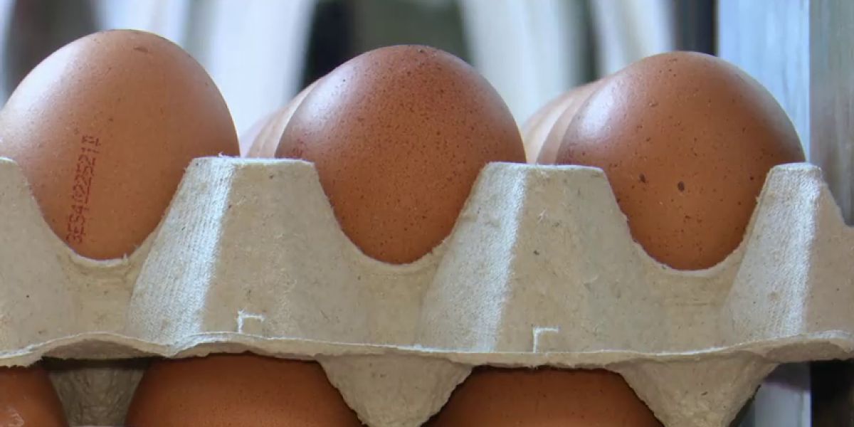 El precio de los huevos por las nubes
