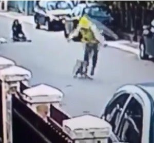 Un perro salva a una mujer de un robo Un perro salva a una mujer de un robo