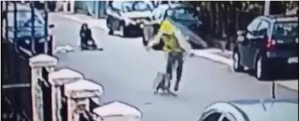 Un perro salva a una mujer de un robo Un perro salva a una mujer de un robo