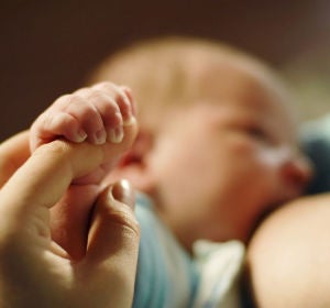 Amamantar a los hijos mejora su capacidad intelectual Amamantar a los hijos mejora su capacidad intelectual