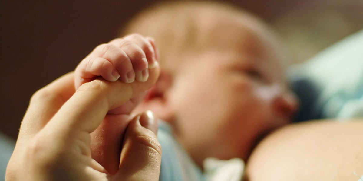 Amamantar a los hijos mejora su capacidad intelectual