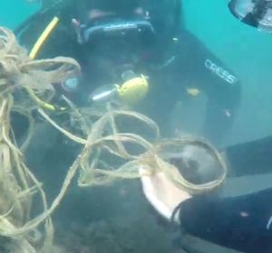 Buceadores voluntarios dedican sus horas libres a limpiar la basura del fondo marino Buceadores voluntarios dedican sus horas libres a limpiar la basura del fondo marino
