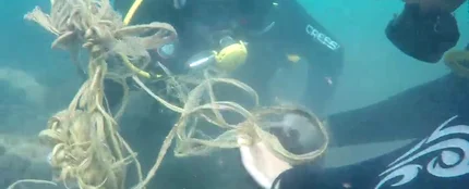 Buceadores voluntarios dedican sus horas libres a limpiar la basura del fondo marino Buceadores voluntarios dedican sus horas libres a limpiar la basura del fondo marino