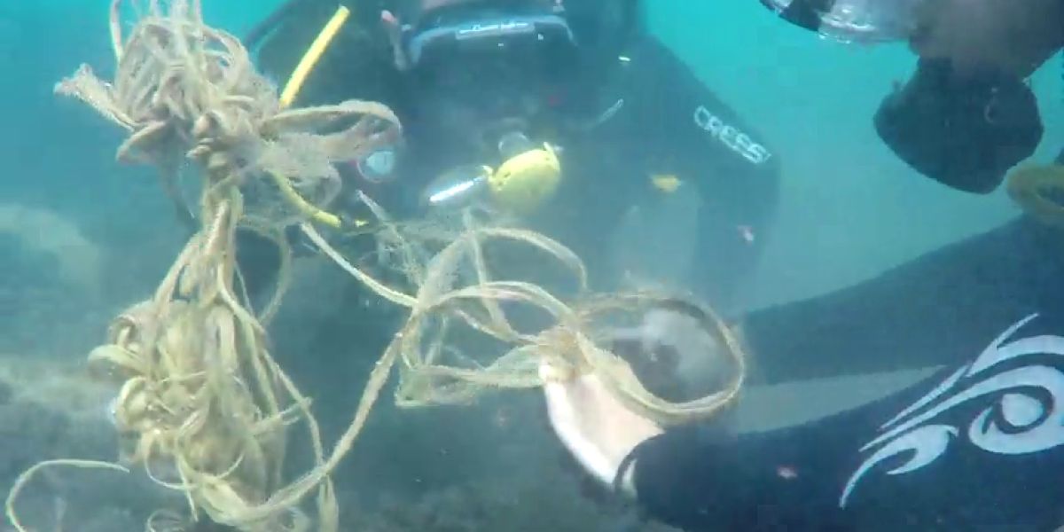 Buceadores voluntarios dedican sus horas libres a limpiar la basura del fondo marino