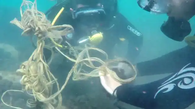 Buceadores voluntarios dedican sus horas libres a limpiar la basura del fondo marino