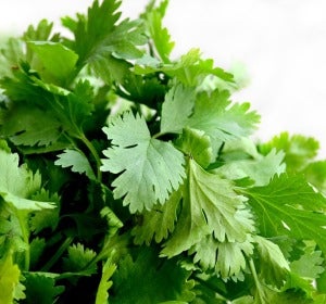 Perejil para cocinar Perejil para cocinar