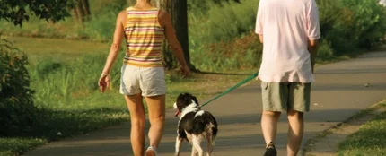 Pasear con el perro Pasear con el perro