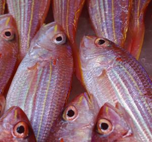 pescado_643x397 pescado_643x397