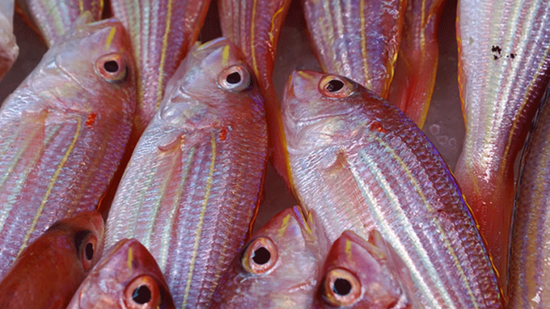 pescado_643x397 pescado_643x397