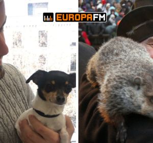 El Señor Tropi vs la marmota Phil El Señor Tropi vs la marmota Phil