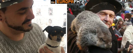 El Señor Tropi vs la marmota Phil El Señor Tropi vs la marmota Phil