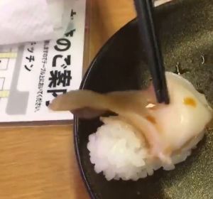 Un trozo de almeja en una pieza de sushi que se mueve Un trozo de almeja en una pieza de sushi que se mueve