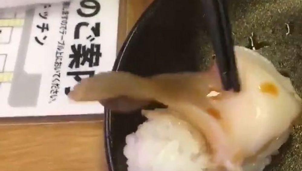 Un trozo de almeja en una pieza de sushi que se mueve