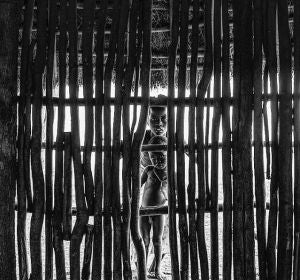 La fotografía de Czuko Williams censurada en el concurso anual de fotografía de Olymphus La fotografía de Czuko Williams censurada en el concurso anual de fotografía de Olymphus