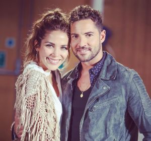 David Bisbal y Rosanna Zanetti David Bisbal y Rosanna Zanetti