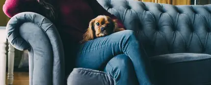 Perro con su dueña en casa Perro con su dueña en casa