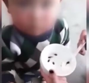 Una madre alimenta a su hijo con renacuajos vivos Una madre alimenta a su hijo con renacuajos vivos