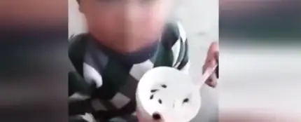 Una madre alimenta a su hijo con renacuajos vivos Una madre alimenta a su hijo con renacuajos vivos