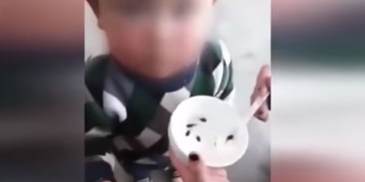 Una madre alimenta a su hijo con renacuajos vivos