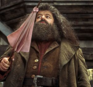 Hagrid y Harry en 'La Piedra Filosofal' Hagrid y Harry en 'La Piedra Filosofal'