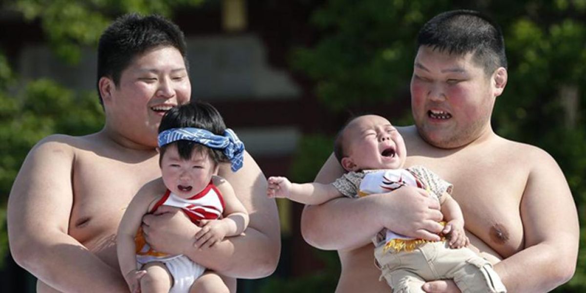 Naki Sumo, el festival de los bebés llorones