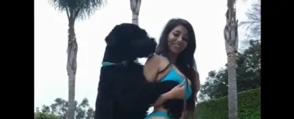 Demandan a una modelo por “acosar sexualmente a su perro” Demandan a una modelo por “acosar sexualmente a su perro”