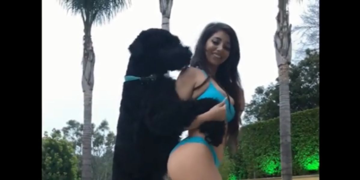 Demandan a una modelo por “acosar sexualmente a su perro”