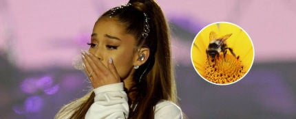 Ariana Grande se tatúa en honor a las víctimas de Manchester