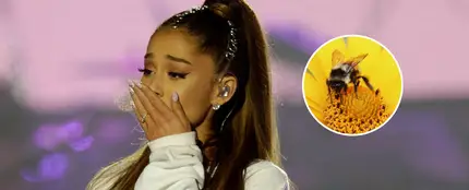 Ariana Grande se tatúa en honor a las víctimas de Manchester Ariana Grande se tatúa en honor a las víctimas de Manchester