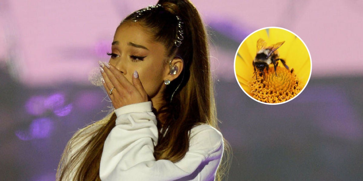 Ariana Grande se tatúa en honor a las víctimas de Manchester