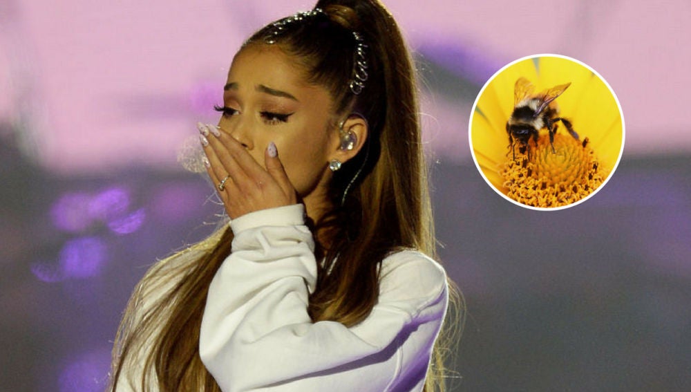Ariana Grande se tatúa en honor a las víctimas de Manchester