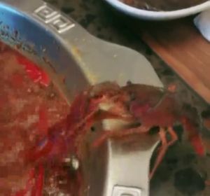 Un cangrejo se arranca su pinza para sobrevivir a una olla hirviendo Un cangrejo se arranca su pinza para sobrevivir a una olla hirviendo