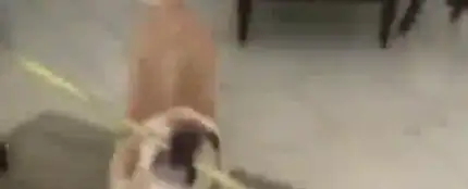 Una mujer no puede entrar en casa y su perro le soluciona el problema Una mujer no puede entrar en casa y su perro le soluciona el problema