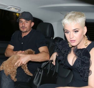 La cita de Katy Perry y Orlando Bloom con su perro La cita de Katy Perry y Orlando Bloom con su perro