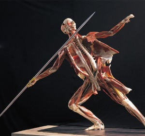 Exposición Body Worlds Vital Exposición Body Worlds Vital