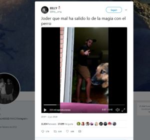 El truco con el perro sale mal El truco con el perro sale mal