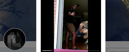 El truco con el perro sale mal El truco con el perro sale mal