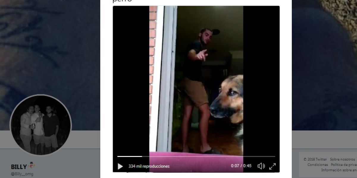 El truco con el perro sale mal