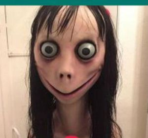 Momo en WhatsApp Momo en WhatsApp