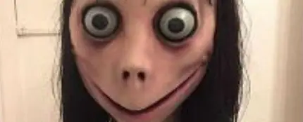 Momo en WhatsApp Momo en WhatsApp