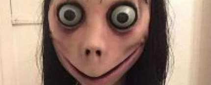 Momo en WhatsApp Momo en WhatsApp