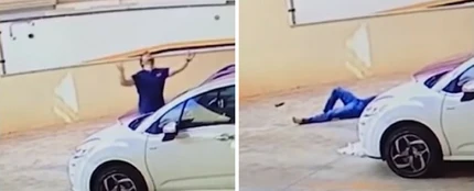 Salva la vida de un perro al amortiguar con su cuerpo el impacto de la caída Salva la vida de un perro al amortiguar con su cuerpo el impacto de la caída